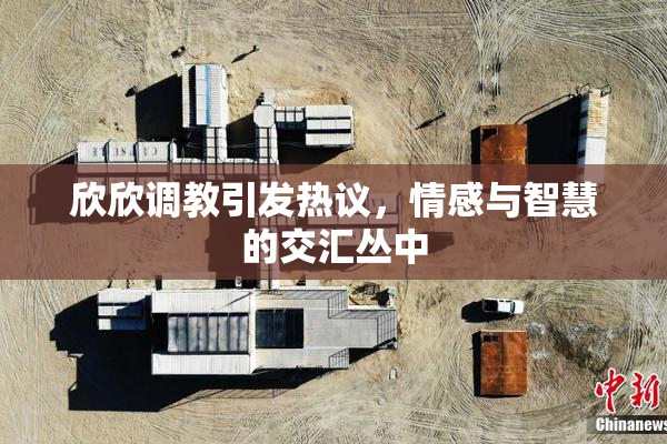 欣欣调教引发热议，情感与智慧的交汇丛中