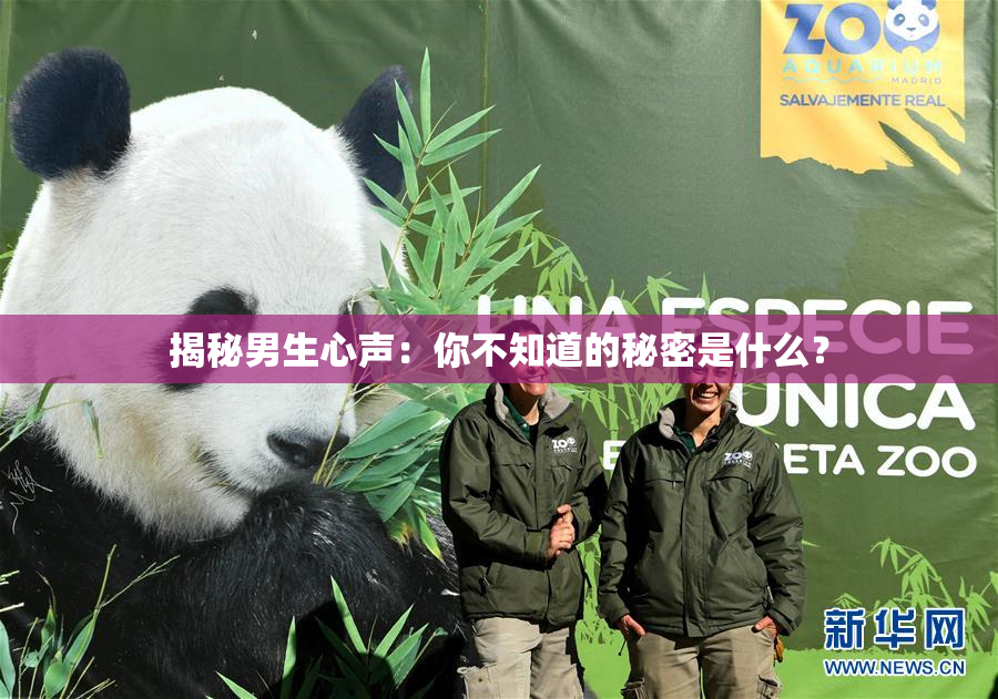 揭秘男生心声：你不知道的秘密是什么？