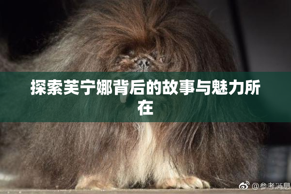 探索芙宁娜背后的故事与魅力所在
