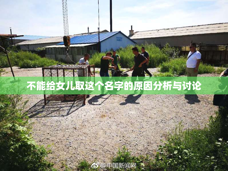 不能给女儿取这个名字的原因分析与讨论