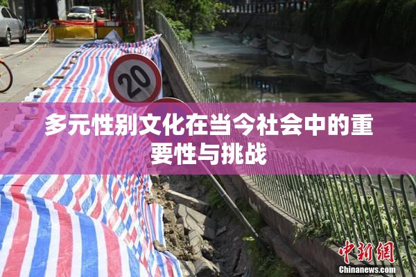 多元性别文化在当今社会中的重要性与挑战