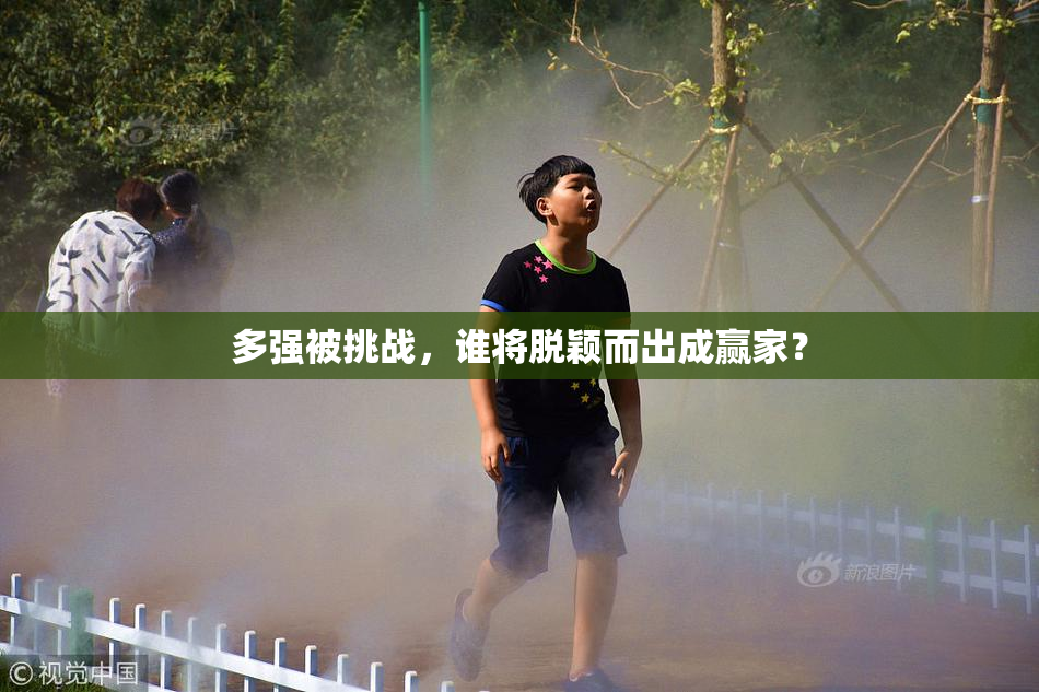 多强被挑战，谁将脱颖而出成赢家？