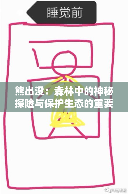 熊出没：森林中的神秘探险与保护生态的重要性