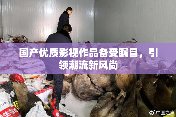 国产优质影视作品备受瞩目，引领潮流新风尚