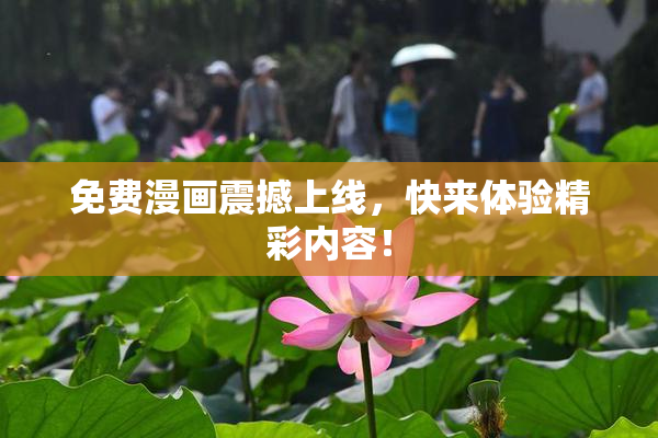 免费漫画震撼上线，快来体验精彩内容！