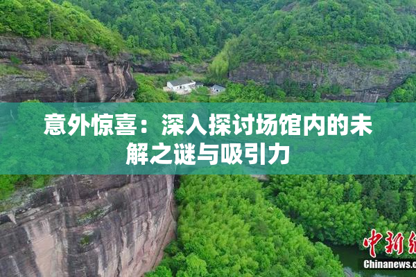 意外惊喜：深入探讨场馆内的未解之谜与吸引力