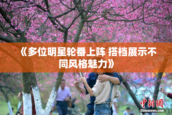 《多位明星轮番上阵 搭档展示不同风格魅力》