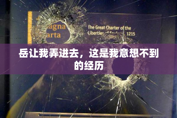 岳让我弄进去，这是我意想不到的经历