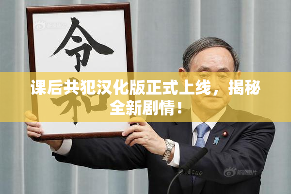课后共犯汉化版正式上线，揭秘全新剧情！