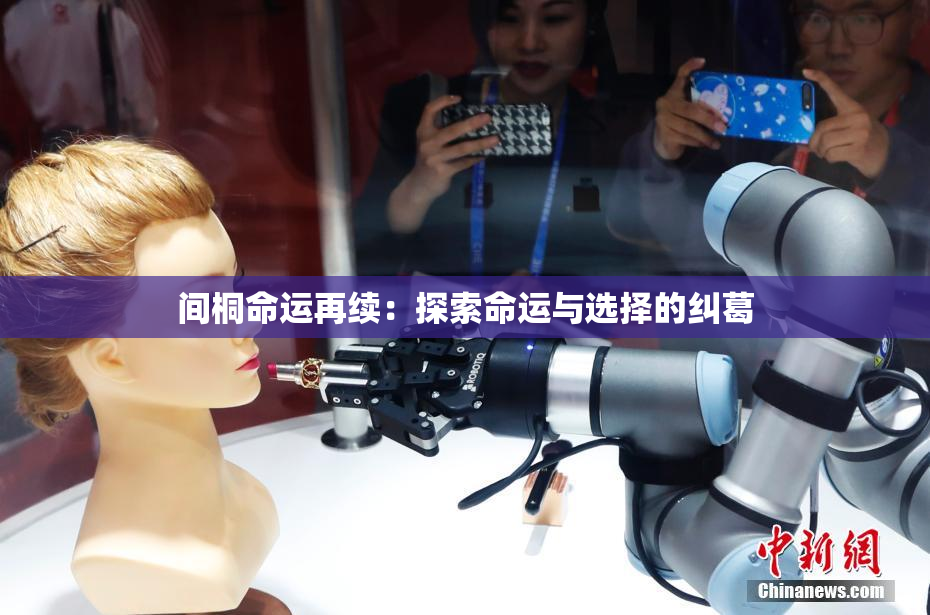 间桐命运再续：探索命运与选择的纠葛