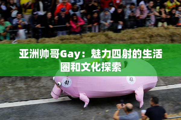 亚洲帅哥Gay：魅力四射的生活圈和文化探索