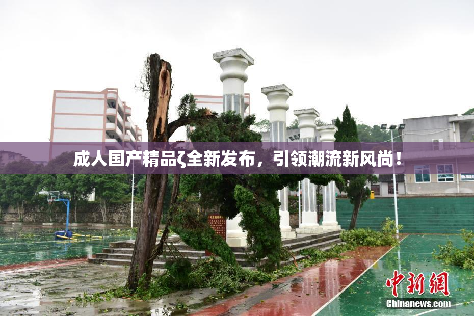成人国产精品ζ全新发布，引领潮流新风尚！