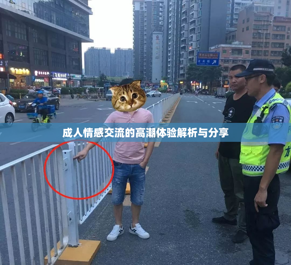 成人情感交流的高潮体验解析与分享