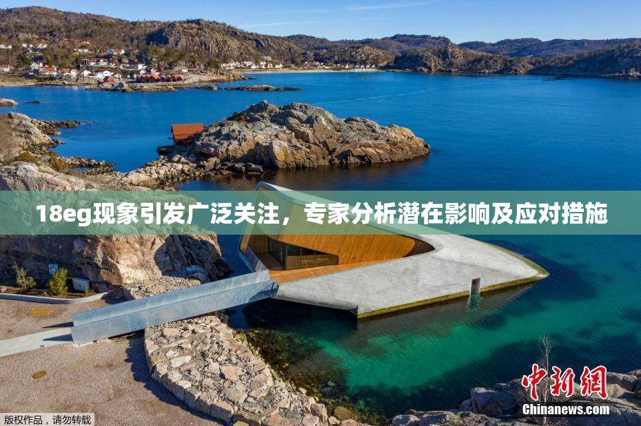 18eg现象引发广泛关注，专家分析潜在影响及应对措施