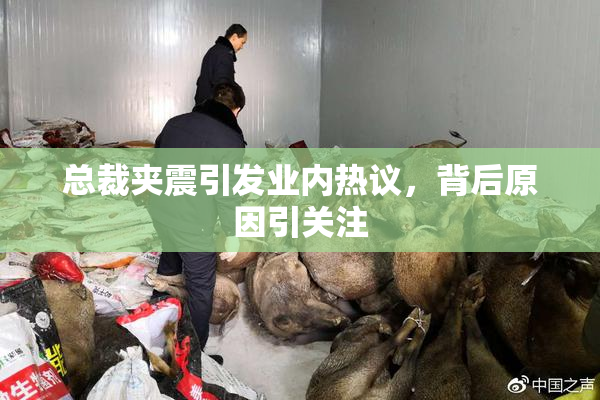总裁夹震引发业内热议，背后原因引关注
