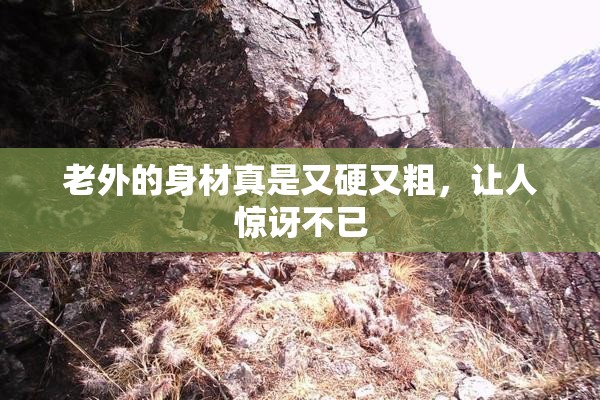 老外的身材真是又硬又粗，让人惊讶不已
