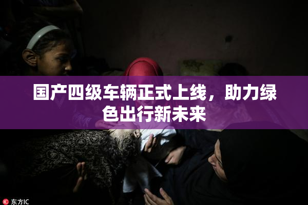 国产四级车辆正式上线，助力绿色出行新未来