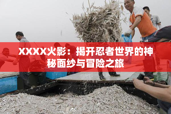 XXXX火影：揭开忍者世界的神秘面纱与冒险之旅