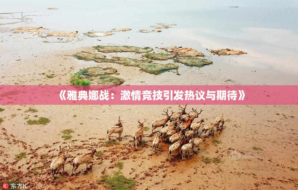 《雅典娜战：激情竞技引发热议与期待》