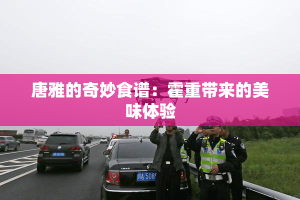 唐雅的奇妙食谱：霍重带来的美味体验