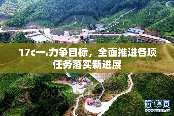 17c一.力争目标，全面推进各项任务落实新进展