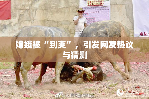 嫦娥被“到爽”，引发网友热议与猜测