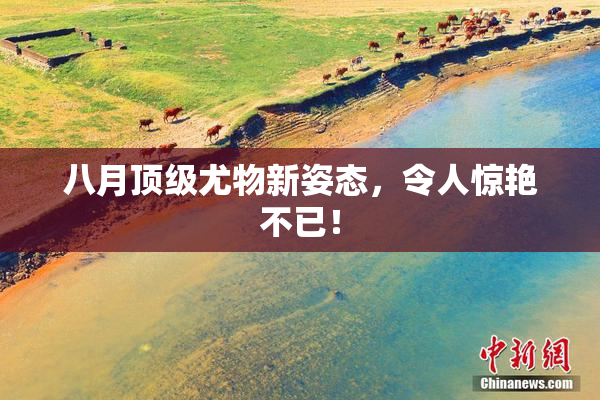 八月顶级尤物新姿态，令人惊艳不已！