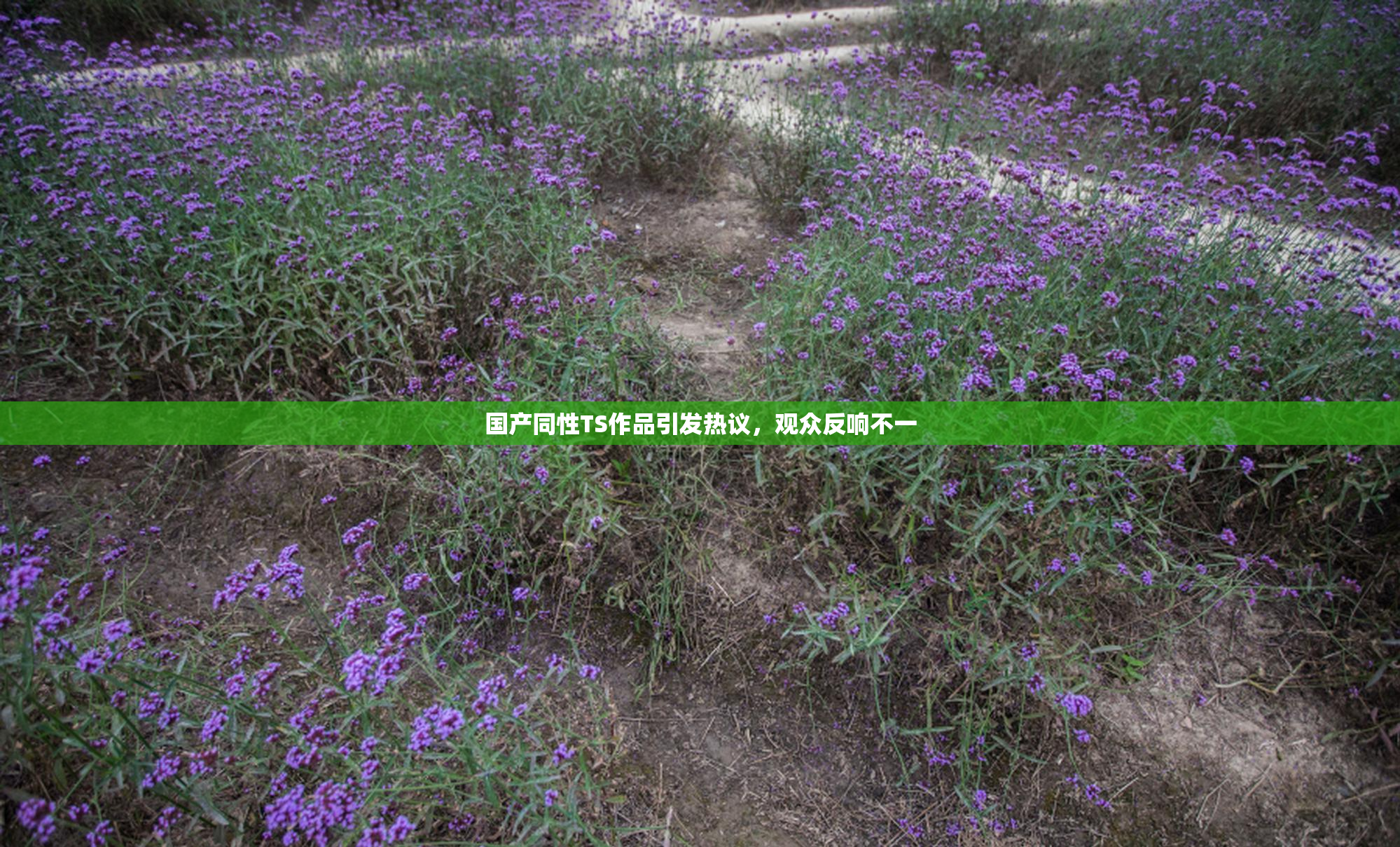 国产同性TS作品引发热议，观众反响不一