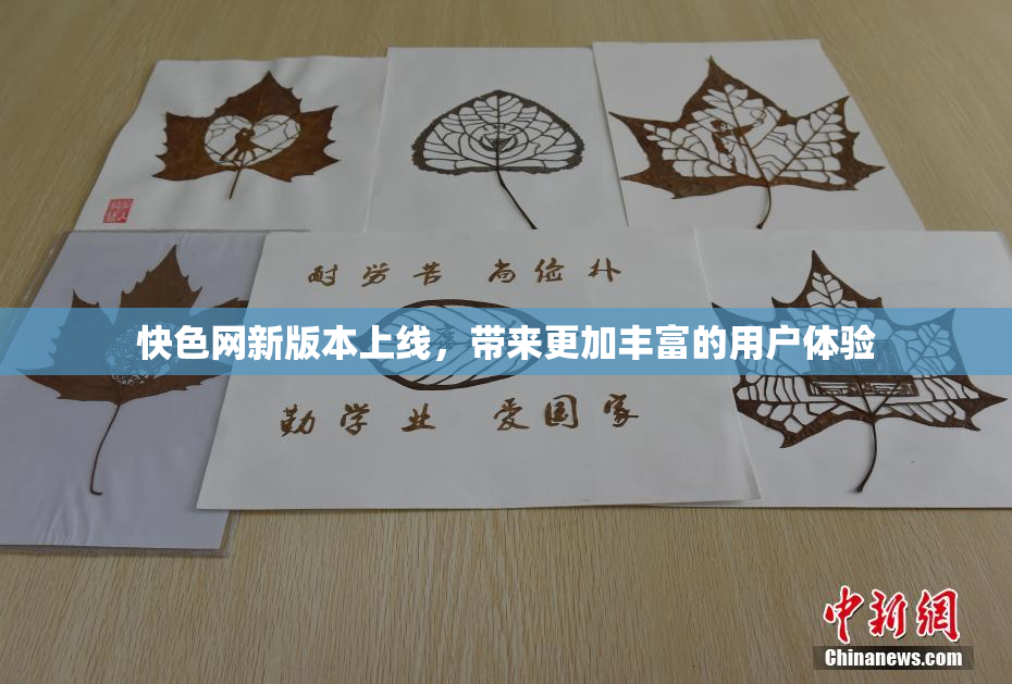 快色网新版本上线，带来更加丰富的用户体验