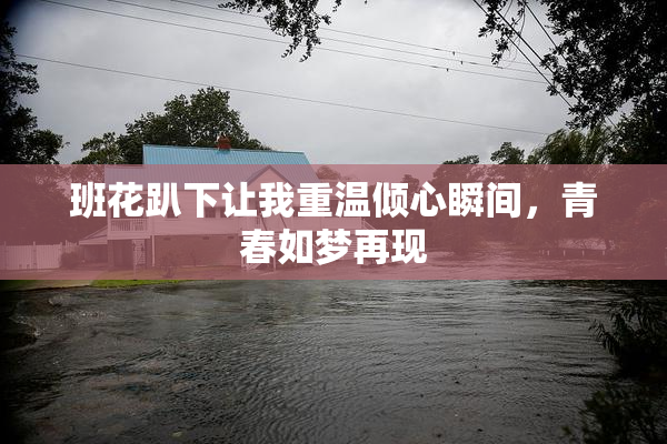 班花趴下让我重温倾心瞬间，青春如梦再现