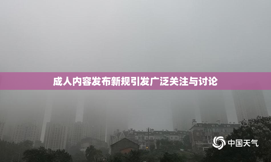 成人内容发布新规引发广泛关注与讨论