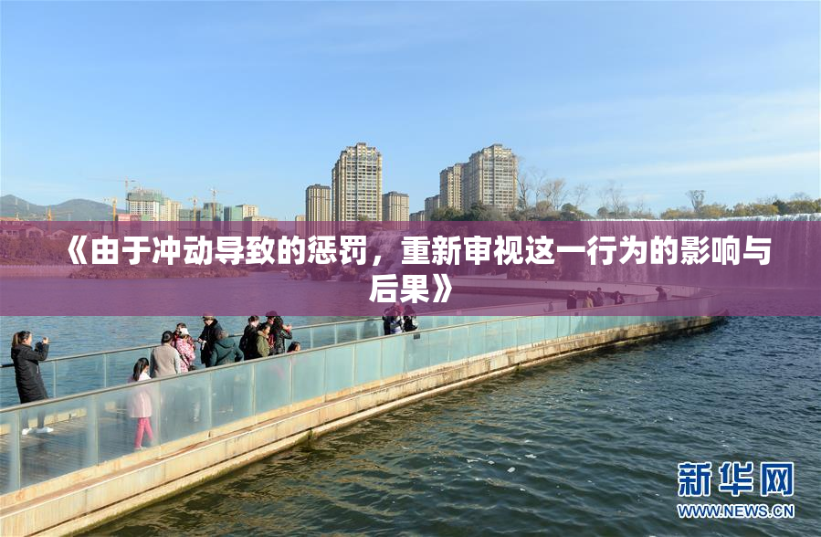 《由于冲动导致的惩罚，重新审视这一行为的影响与后果》