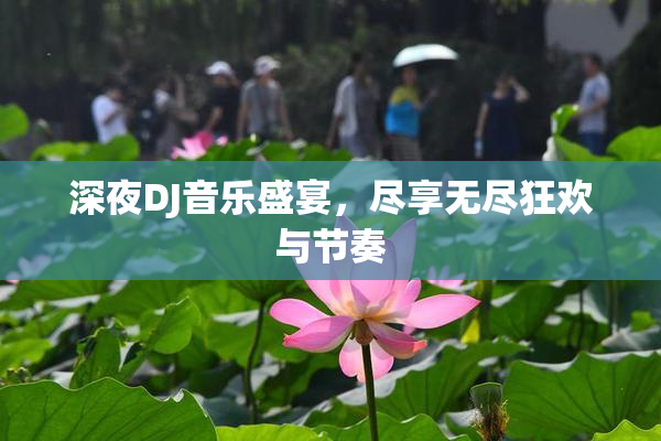 深夜DJ音乐盛宴，尽享无尽狂欢与节奏