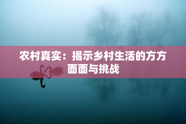农村真实：揭示乡村生活的方方面面与挑战