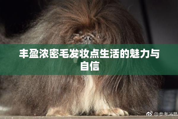 丰盈浓密毛发妆点生活的魅力与自信
