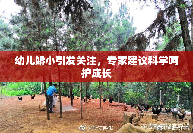 幼儿娇小引发关注，专家建议科学呵护成长