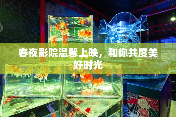 春夜影院温馨上映，和你共度美好时光