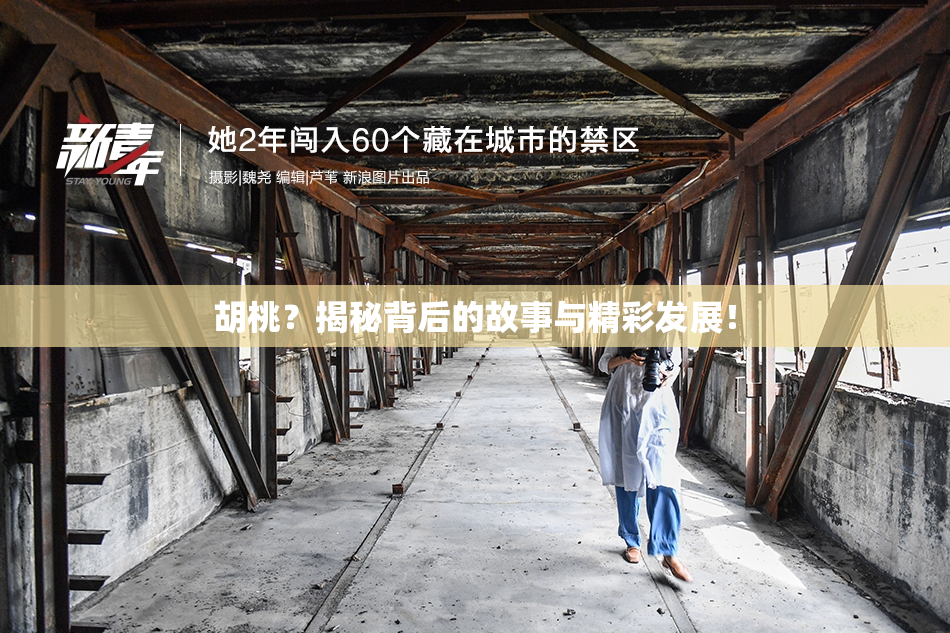 胡桃？揭秘背后的故事与精彩发展！