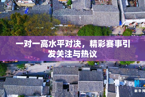 一对一高水平对决，精彩赛事引发关注与热议