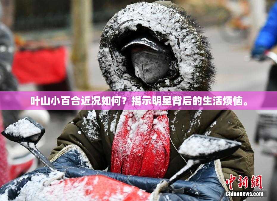 叶山小百合近况如何？揭示明星背后的生活烦恼。