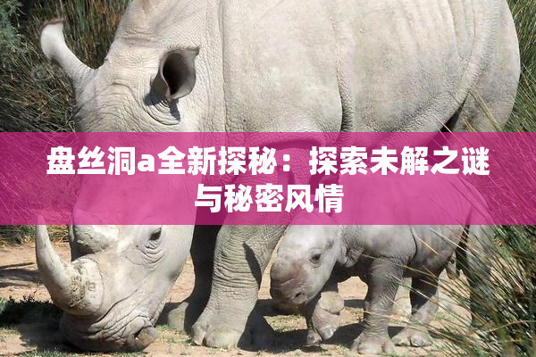 盘丝洞a全新探秘：探索未解之谜与秘密风情
