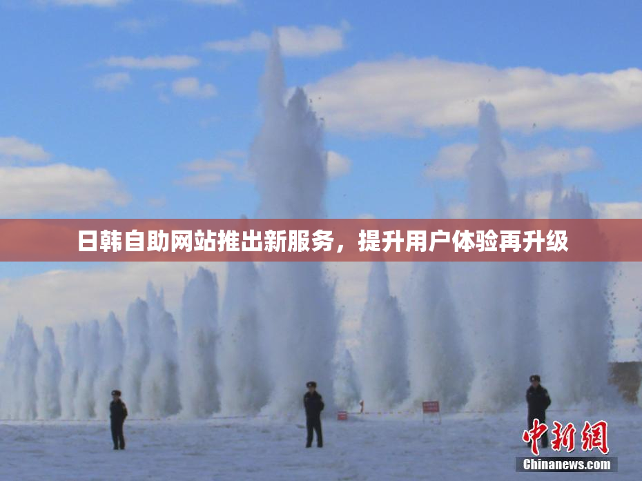 日韩自助网站推出新服务，提升用户体验再升级