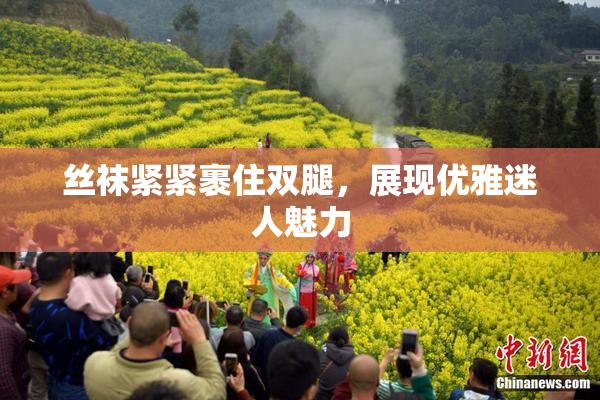 丝袜紧紧裹住双腿，展现优雅迷人魅力