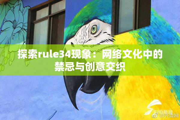 探索rule34现象：网络文化中的禁忌与创意交织