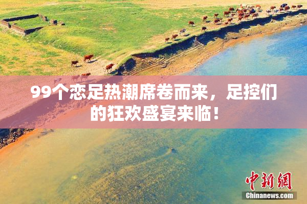 99个恋足热潮席卷而来，足控们的狂欢盛宴来临！