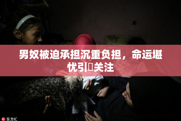 男奴被迫承担沉重负担，命运堪忧引発关注