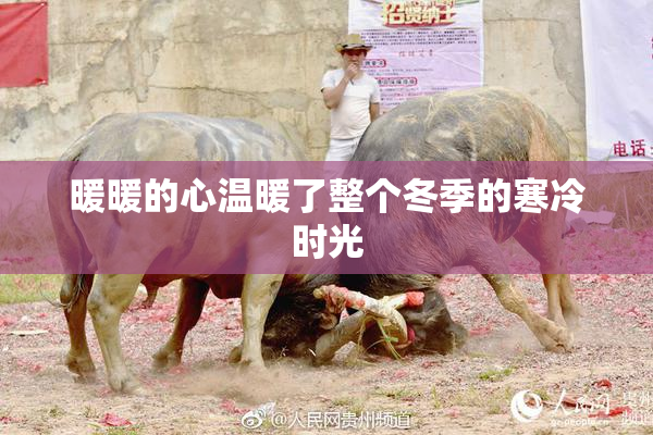 暖暖的心温暖了整个冬季的寒冷时光