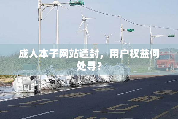 成人本子网站遭封，用户权益何处寻？