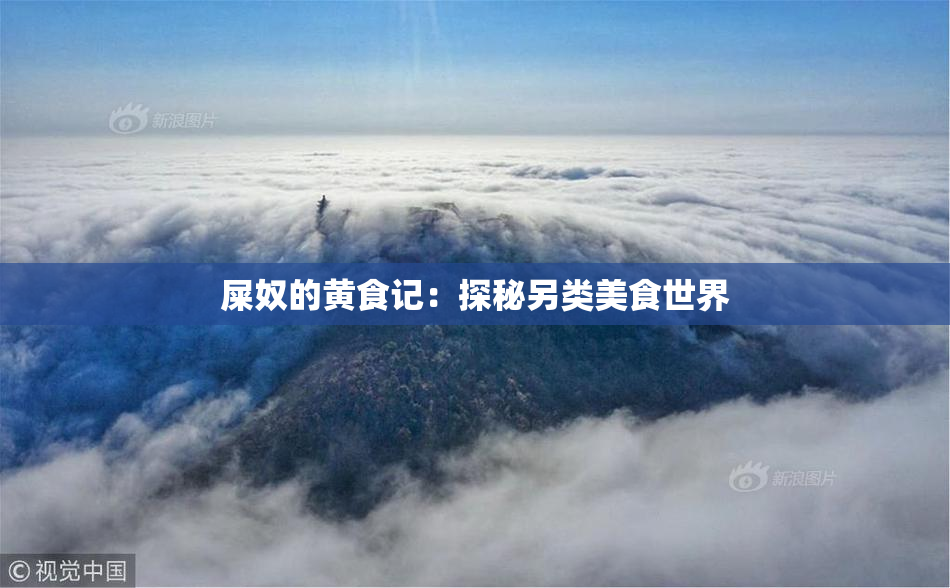 屎奴的黄食记：探秘另类美食世界
