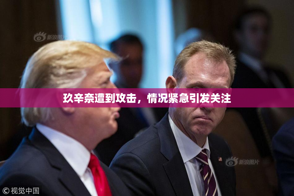 玖辛奈遭到攻击，情况紧急引发关注